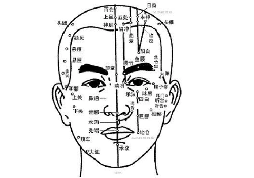 头部穴位图