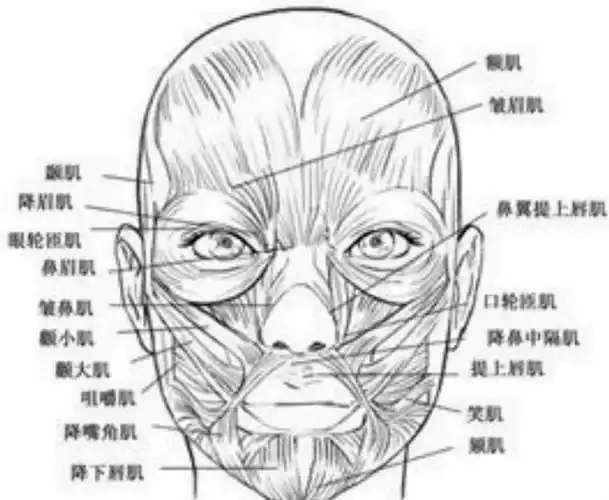 2018年吴元春写意人物(二)班第13课《老年妇女头像》写生