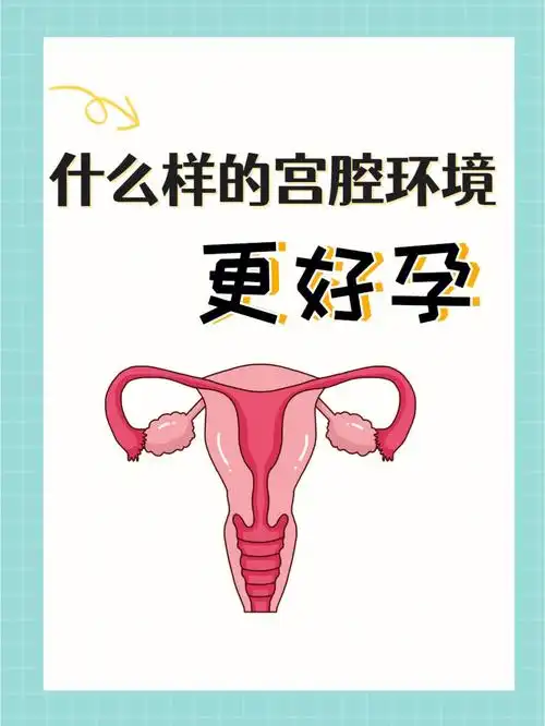 l泡喜欢的宫腔环境怀的上生的下