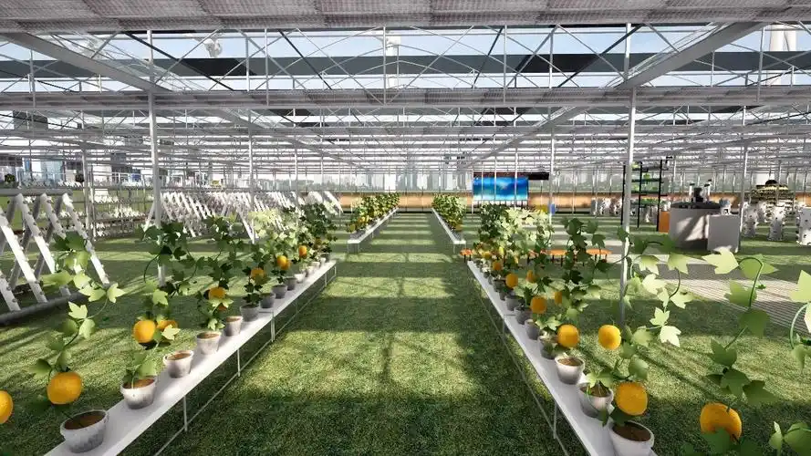 连栋大棚效果图展示