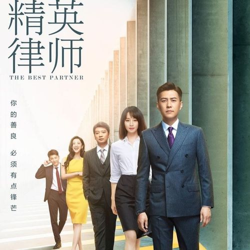 精英律师 2020都市律政电视剧 dvd碟片视频机光盘 靳东 蓝盈莹