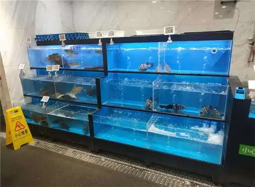 酒店海鲜池多少钱温州酒店海鲜池小霍水族值得信赖