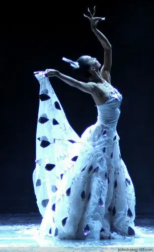 傣族孔雀舞欣赏 - 蜀都老玩童 - 老玩童快乐书院