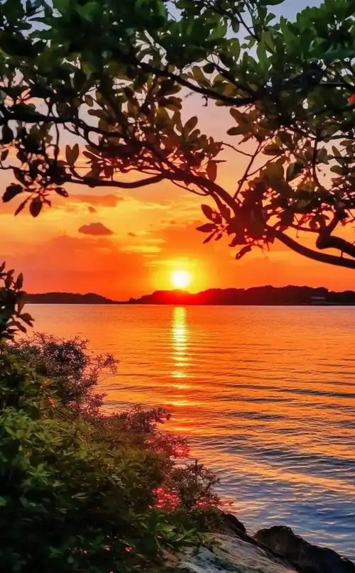 夕阳美如画,清风醉晚霞,温婉拥雅韵,墨色度芳华.#落日余晖映 - 抖音