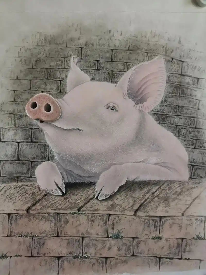 十二生肖～猪 #国画艺术 #带你走进画里  - 抖音