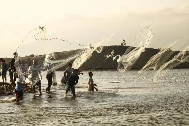 土耳其渔民剪影,撒网捕鱼一片忙碌