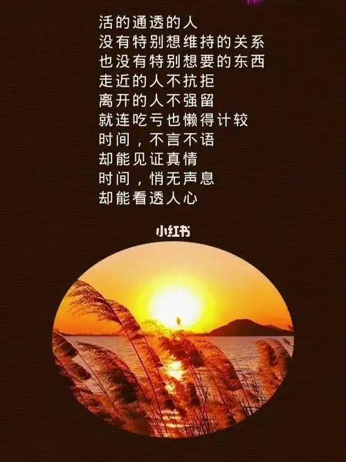 情感人生感悟情感语录