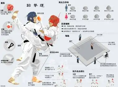 跆拳道场地示意图