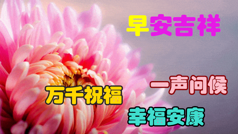 1月29日最漂亮早上好动态表情图片大全,早上好动图美图大全