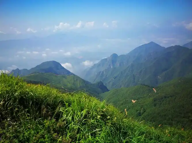 遂昌白马山深林公园一游