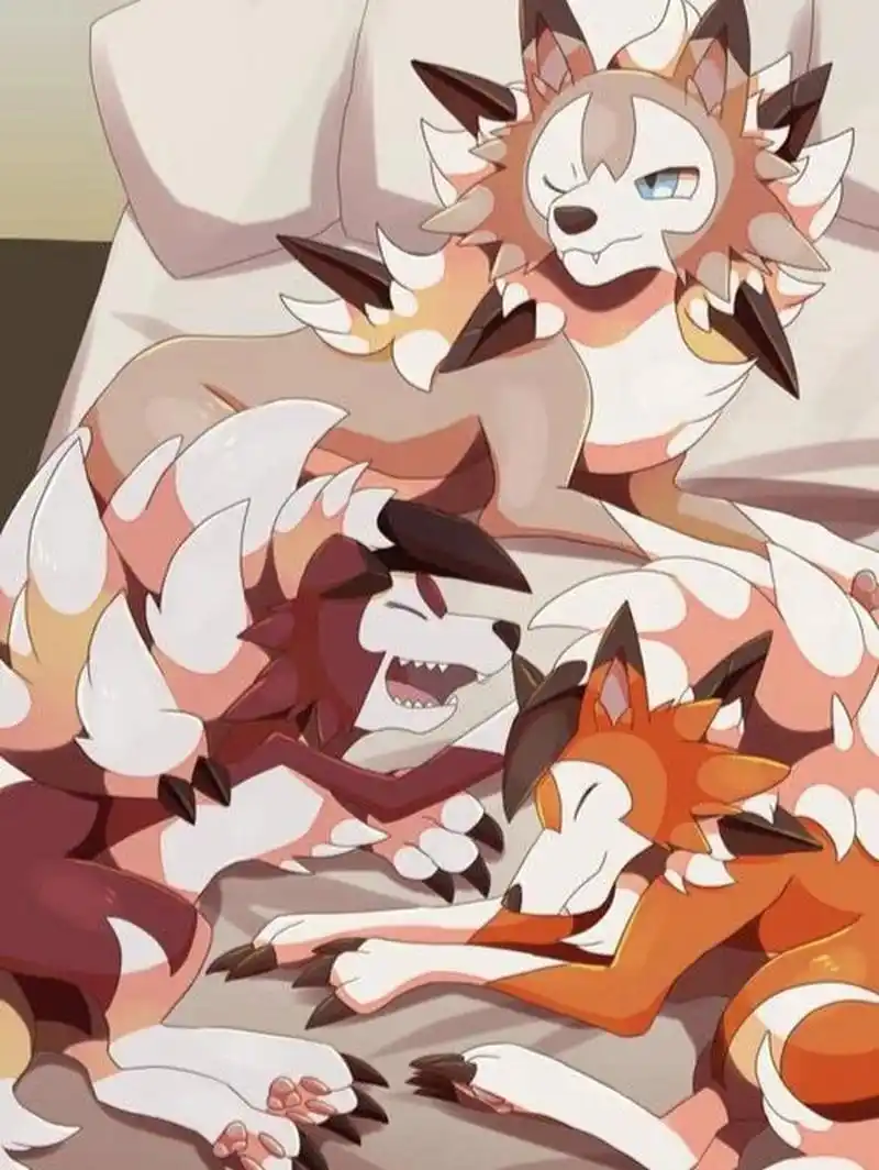 宝可梦鬃岩狼人壁纸