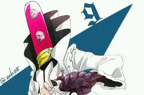 十刃中唯一一个下级大虚,基力安级别的,但是其特殊的能力让其能位列