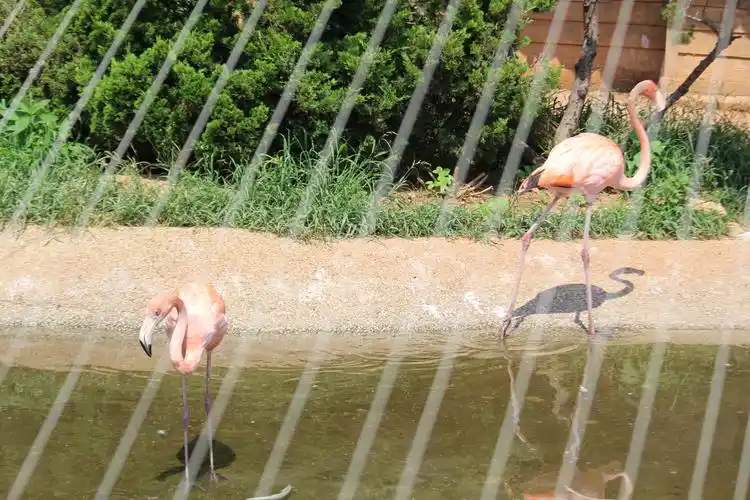 大连老虎滩鸟语林