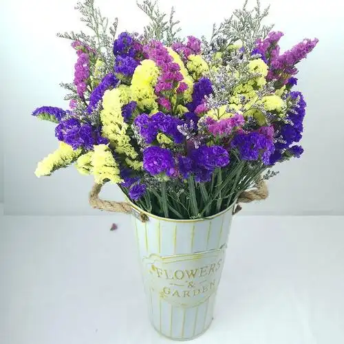 新品干花花束云南天然风干大束勿忘我客厅装饰家居摆设插花真花