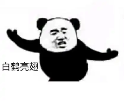 熊猫功夫招式表情包