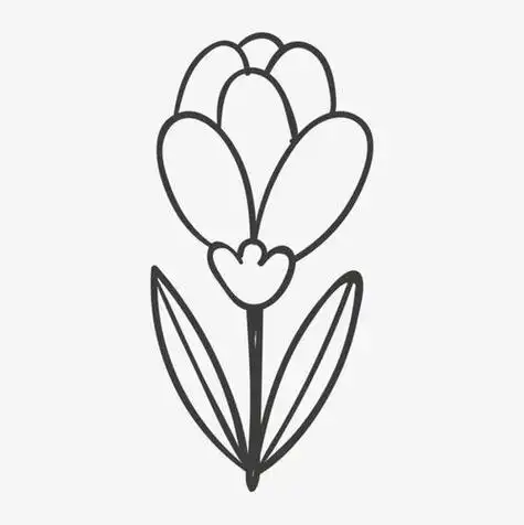 简笔画勾线笔画花 简笔画图片大全-蒲城教育文学网