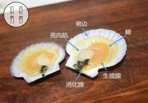 蒜蓉粉丝蒸扇贝,如何做出酒店水平?