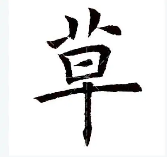 首先注意草字头的笔顺,先写左边一横,再写第一竖,然后写第三横,最后写