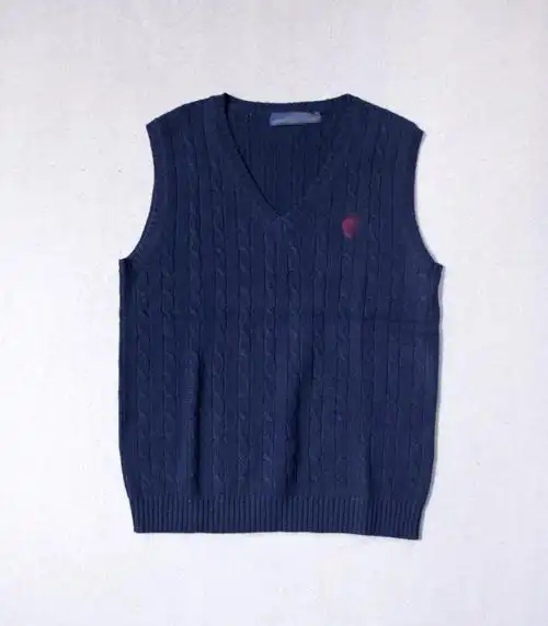 欧美简约男士进口羊毛针织毛衣套头背心v领纯色麻花商务休闲