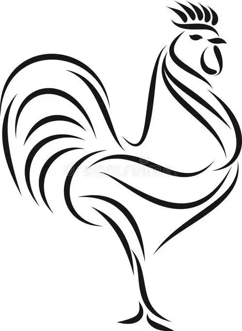 松鸡简笔画视频教学视频