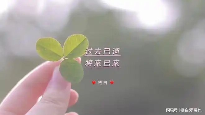 如果这一切可以重来