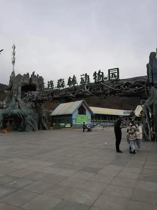大连森林动物园2020.11.21