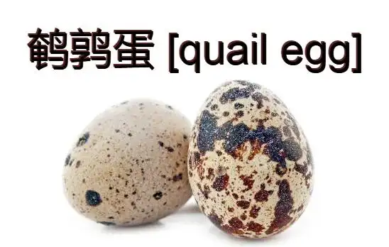 鹌鹑蛋怎么读