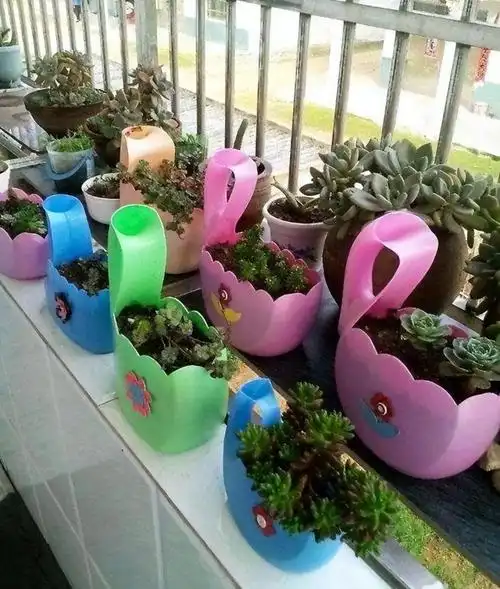 洗衣液瓶子做花盆图案(洗衣液桶剪2刀变身养花神器图解)