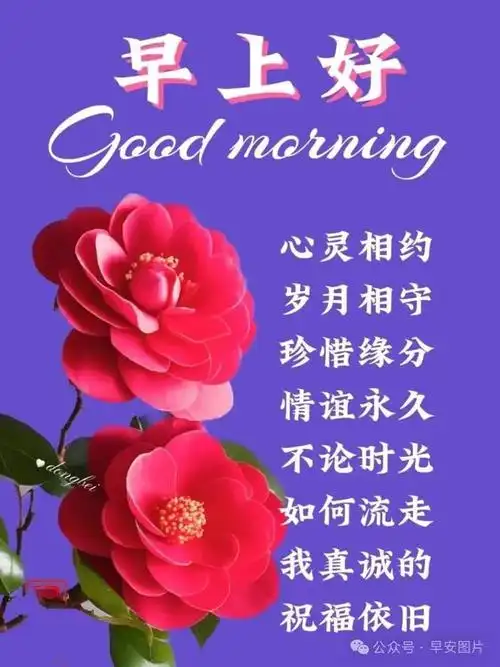 早上好,亲爱的朋友!愿你迎着阳光,迎接好运,笑迎