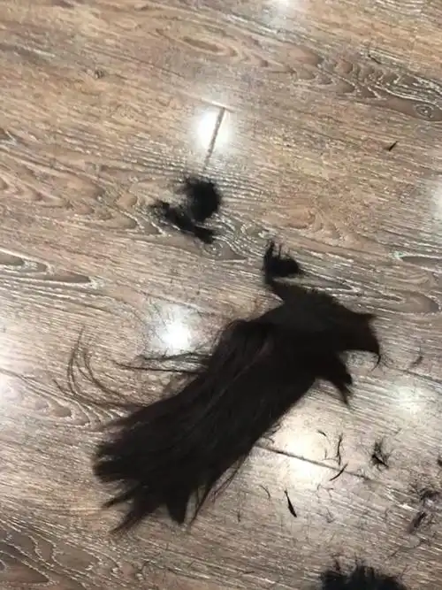 今天 我剪掉了我留了两年的头发剪下了十九年以来 第一个短头发.