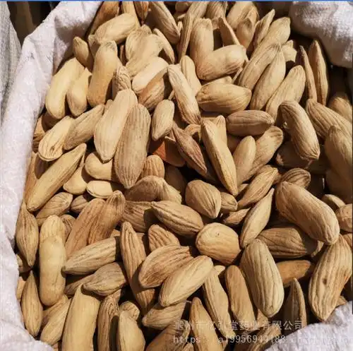 芒果核图片 芒果核功能主治 芒果核药用价值