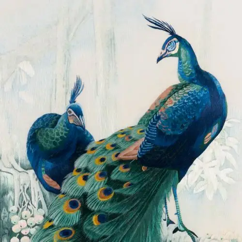 纯手工真丝 精品苏绣挂画《孔雀》刺绣