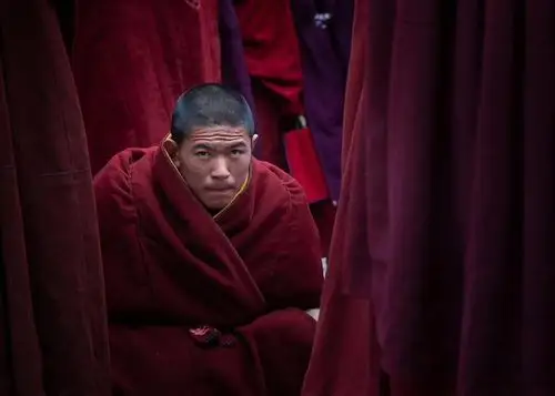 最美甘南,青海行(二)拉不楞寺,郎木寺,桑科草原