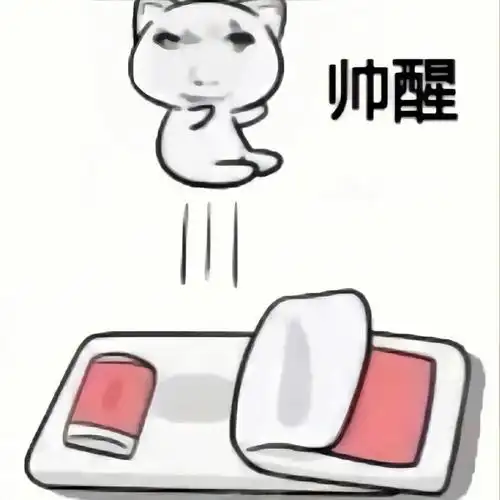 又被帅醒 真烦#龙图  #龙图表情包  #帅醒