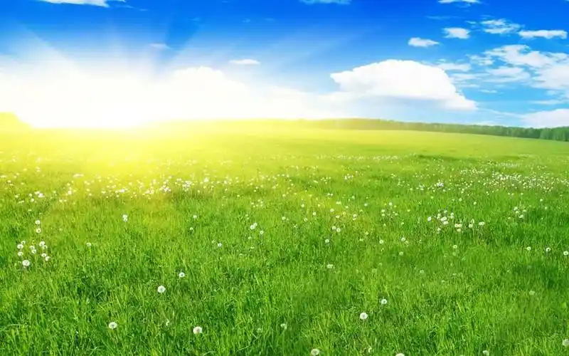 阳光明媚唯美风景1280x1024分辨率查看