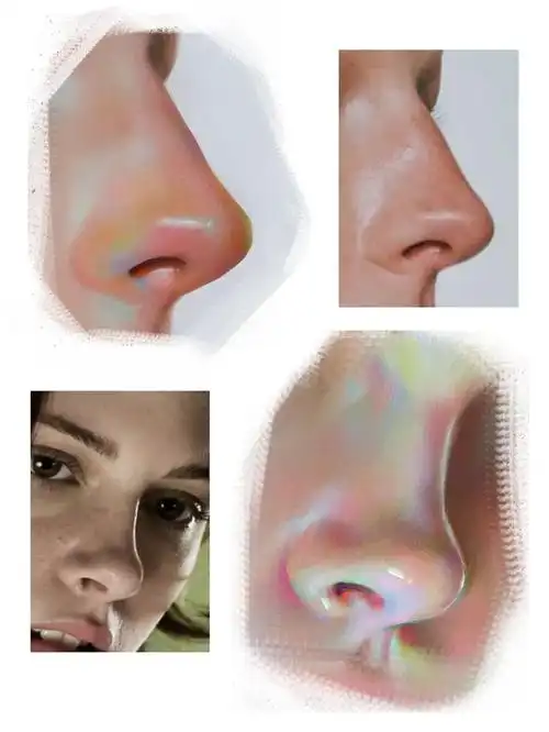 五官练习鼻子