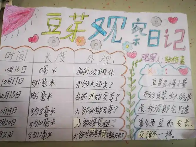 2什么?你们要把我们的豆芽吃掉!——四4班豆芽成长日记