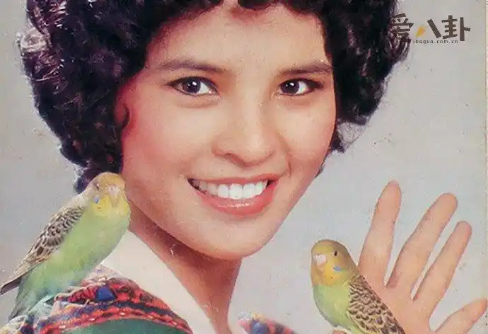 林珍奇狄龙为什么没在一起起底2人现实关系