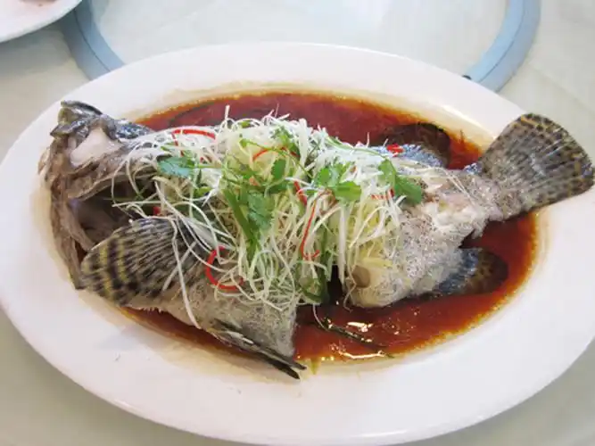 龙虎石斑鱼 珍珠龙胆石斑鱼,珍珠斑,鲜活,海鲜