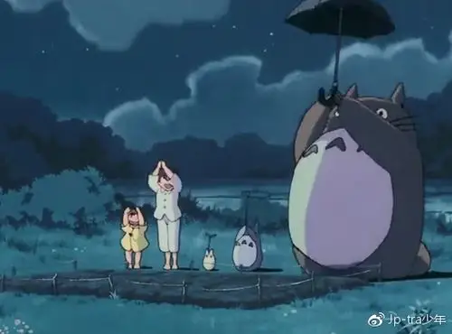 总是说喜欢宫崎骏的龙猫想没想过为什么
