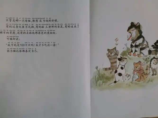北关初中附属幼儿园太阳班绘本故事—《活了一百万次的猫》