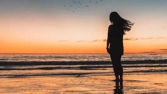 夕阳下伤感背影3000x2000分辨率查看