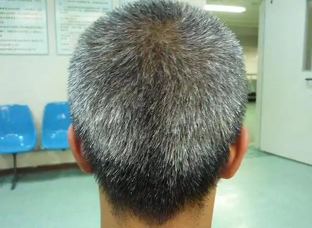 这个疑问,如同他头上新增的白发一样,让老王感到一丝莫名的困扰.