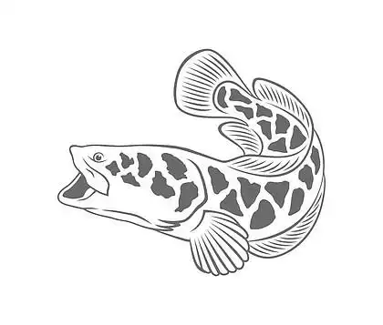 钓鱼的黑鱼图标