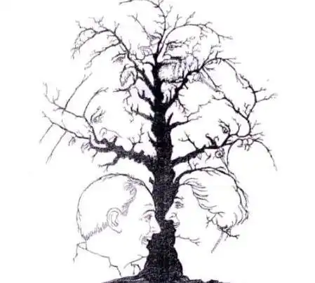 趣味周末#赶紧来测测你的智商有多高!