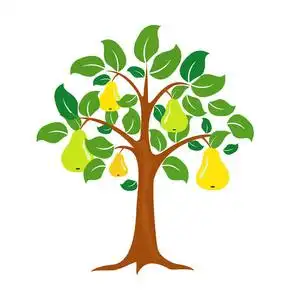 梨树上关闭图片