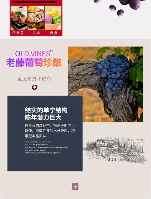 欧绅庄园法国原酒进口红酒红鹦鹉山谷干红葡萄酒浮雕重型瓶750ml6瓶