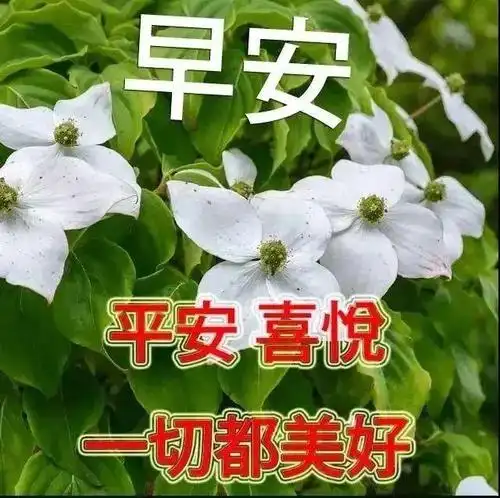 阳春三月新的一天暖心早上好问候语句,把最美的幸福送你!