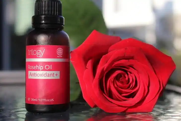 玫瑰精油的功效与作用及副作用玫瑰精油的好处和功效