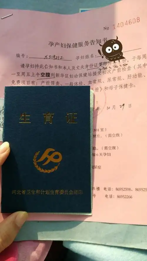 河北的二胎妈妈,二胎准生证是什么样的,有知道吗